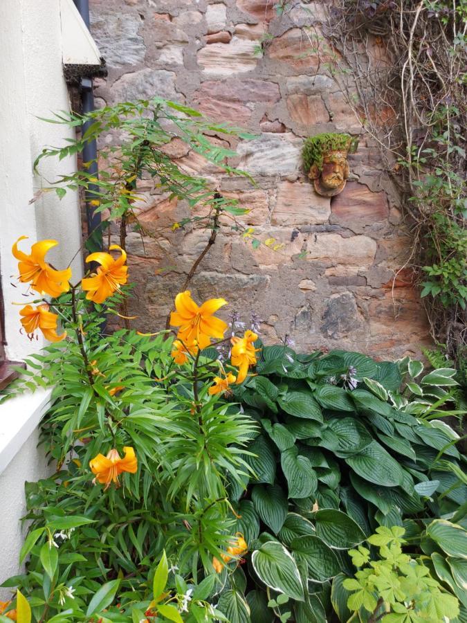Oil Mill Lane Holiday Cottage Berwick Upon Tweed Buitenkant foto